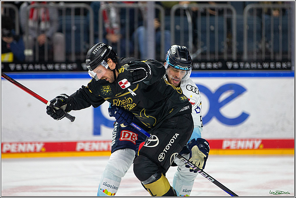 PENNY DEL;  Kölner Haie - ERC Ingolstadt; Köln, 25.11.2022
